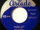 Joey Micheals ROCKABILLY 45 Sixteen Cats / Too Blue To Cry on Arcade HEAR #BB3
