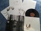 Paul McCartney - Chaos and Creation in the Backyard 180g + 4 Zeichnungen + OIS
