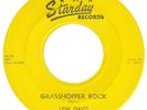 LINK DAVIS 	STARDAY 242 	GRASSHOPPER ROCK/16 CHICKS 	VG+/M- 	$120.00