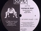 Black Rascals Ft Roger Harris-Keeping My Mind 12