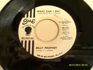 BILLY PROPHET 45 WHAT CAN I DO? PROMO 1 SIDED, RARE NORTHERN SOUL