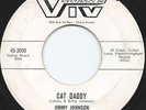 JIMMY JOHNSON Cat Daddy VIV 45 Phoenix AZ rockabilly classic with Al Casey