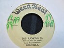 Grubrick Top Ranking J A Killer Roots 7