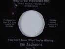 Funk Soul Gospel 45 JACKSONS You Don't Know What You're Missing RAPTUREA HEAR