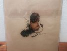 PEDRO THE LION 1997 WHOLE EP Record 33 10