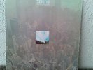 Zephyr Going BACK To Colorado Org German Press LP