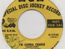THE VELOURS-I'M GONNA CHANGE-MGM-***YELLOW DEMO***-***AUTOGRAPHED***