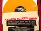 Andrew Jackson Jihad Fest Pressing 25/100 Screen Cover Against Me Nofx