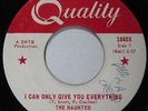 The Haunted: I Can Only Give You Everything (Canada 45) Garage Rock Quality RARE