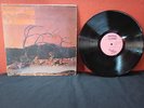 C.A.QUINTET - Trip Thru Hell LP US CANDY FLOSS ORIGINAL THE MAZE GROWING CONCERN