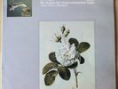 JEAN-MAX CLEMENT -  BACH : Six Suites for Unaccompanied Cello - (UK) OLS 133