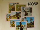 LP / JACKIE MITTOO / NOW