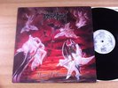 Immolation - Dawn Of Possession LP Holland 1991 RC EX/EX- vinyl record metal