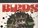 THE BIRDS - these birds are dangerous LP