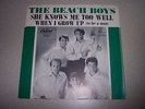 NM The Beach Boys When I Grow Up / She Knows Me Too Well 45RPM Picture Sleeve