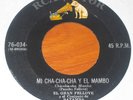 EL GRAN FELLOVE MI CHA-CHA-CHA Y EL MAMBO AFRO CUBAN ROOTS