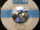Sweet Rain - Super Rare Texas Northern Funk Blue Eyed Soul 45 ARV McAllen - HEAR