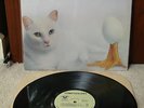 PRIVATE HARD ROCK AOR LP TOM FOOLERY - same (LEVEL connection ).