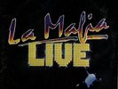 LA MAFIA live   RARE TEXMEX TEJANO LATIN LP