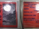 THE ORCHIDS - STRIVING FOR THE LAZY PERFECTION lp 12