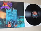 Dark Angel ?– Darkness Descends VINYL 1st PRESS THRASH METAL 1986 FLAG 6