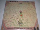 BURNT ONES HAND DRAWN LP 15/30 BURGER RECORDS KING TUFF THEE OH SEES TY SEGALL