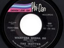Northern Soul 45 THE IKETTES What'cha Gonna Do/Down, Down HEAR Phi-Dan Rare