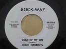 NORTHERN SOUL/R &B/POPCORN/MOD - MIXED EMOTIONS