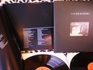 ROGER WATERS-AMUSED TO DEATH-CBS/SONY 1992 HOLLAND - DISCHI  VINILE 33 GIRI 12