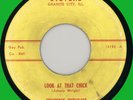JOHNNY WRIGHT (ex-Ike Turner) Look at That Chick 45rpm Stevens 1959