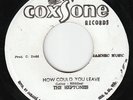 Heptones - How Could You Leave (My Guiding Star) - KILLER