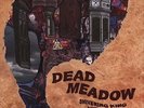 Dead Meadow SHIVERING KING and OTHERS MINT 2003 PRESSING 2xLp Gatefold Jacket