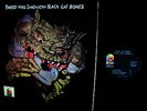 MINT VINYL ORIG 1969 =  BLACK CAT BONES   BARBED WIRE SANDWICH HARD BLUES Psych
