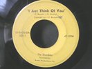 Rare PrivateThe Shambles Garage Acid Punk, I Just Think of You / The Other Side