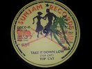 TOP CAT take it down low sunjam records