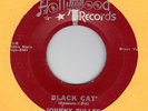50S RARE  HARP/ GTR BLUES JOHNNY FULLER    BLACK CAT  HOLLYWOOD 1043 VG+  HEAR