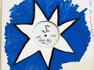INDIGO GIRLS LP Rites of Passage (UNIQUE HAND PAINTED ARTWORK by AMY RAY)