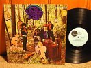 LITTLE BOY BLUES In The Woodland Of Weir 1968 US ORIGINAL PSYCH LP MINT- FONTANA