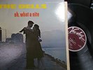 VEE JAY LP 1010  THE DELLS  OH, WHAT A NIGHT    MAROON LABEL ORIGINAL