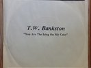 T.W. Bankston modern soul 45 You Are The Icing On My Cake   Straight Up Records