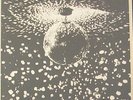 NEIL YOUNG MIRROR BALL 2 X LP IMPORT W/INSERT