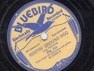 Big Joe Williams, Rootin' Ground Hog/I Won't Be in Hard Luck No More, Bluebird ?