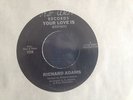 Ultra rare US Modern Soul Richard Adams Your love is   listen N MINT