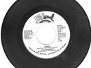 Rare Original Demo - Skip Mahoney - Janice  (Salsoul  S7 2120 DJ )