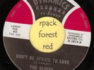 THE ELDEES - Don't Be Afraid To Love   - DYNAMICS  7