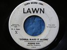 RARE  RONNIE DIO and THE PROPHETS 45 PROMO on LAWN james '60's EARLIEST DIO 
