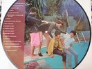 BEATLES-PICTURE DISCS-RARE BEATLES TRACKS--DISCHI VINILE 33 GIRI 12