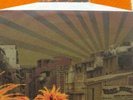 Broilers La Vida Loca oranges Vinyl RAR