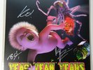 YEAH YEAH YEAHS - MOSQUITO - FULLY SIGNED LITHOGRAPH PRINT & LP VINYL ALBUM