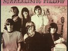 JEFFERSON AIRPLANE Surrealistic Pillow DCC AUDIOPHILE LP